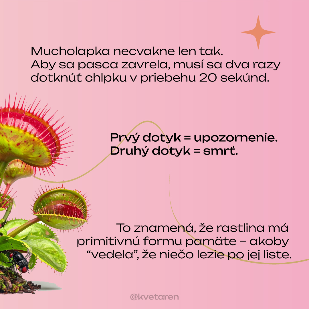 Zaujímavosti zo sveta rastlín