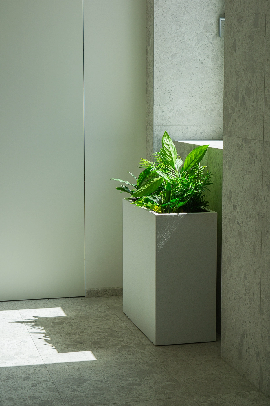 Plantscape - hydroponické kvetináče (VET/ZH)