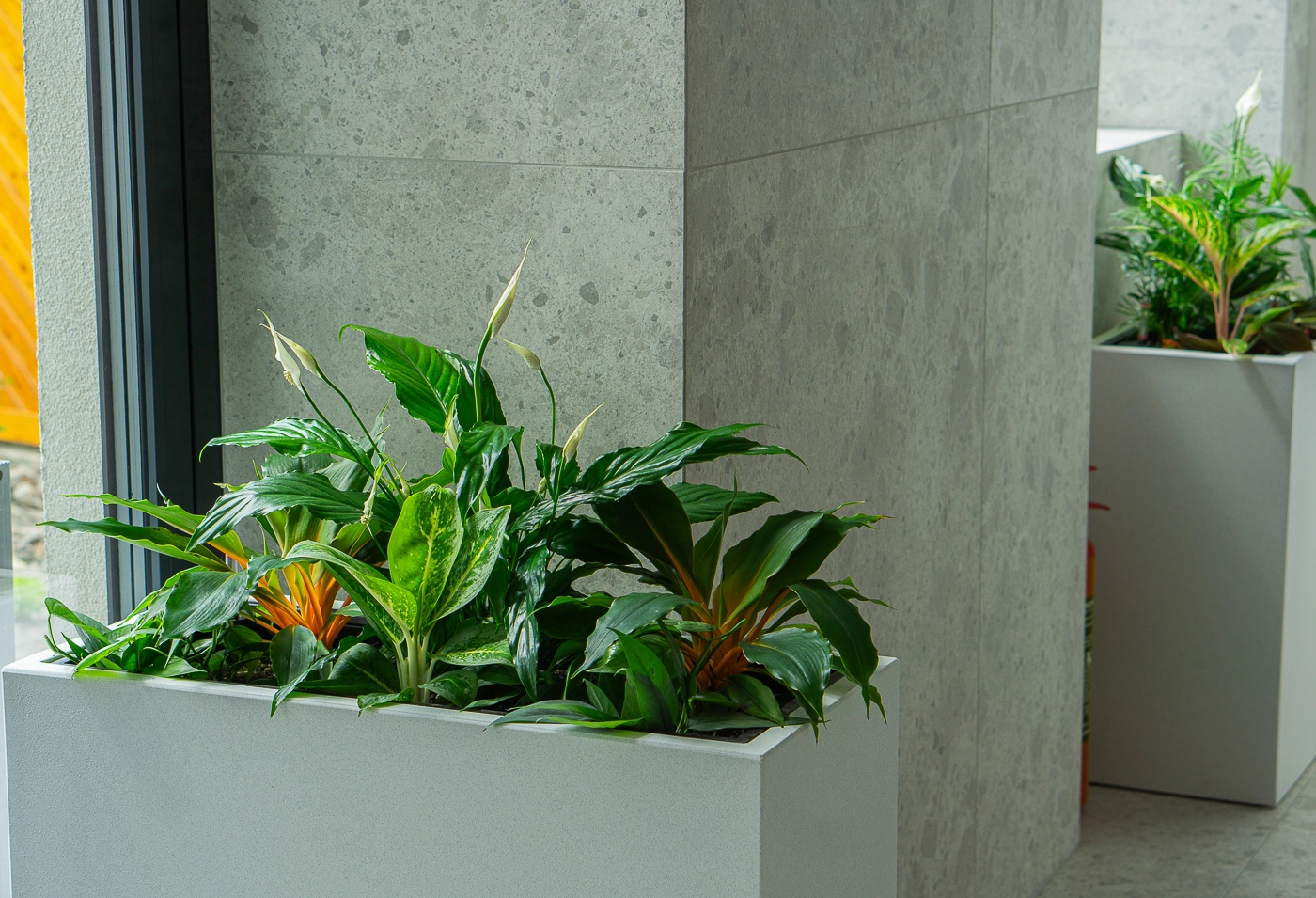 Plantscape - hydroponické kvetináče (VET/ZH)
