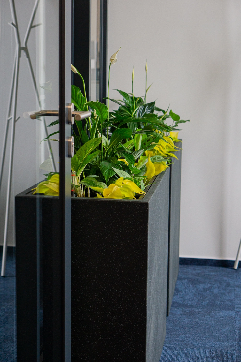 Plantscape - hydroponické kvetináče (VET/ZH)