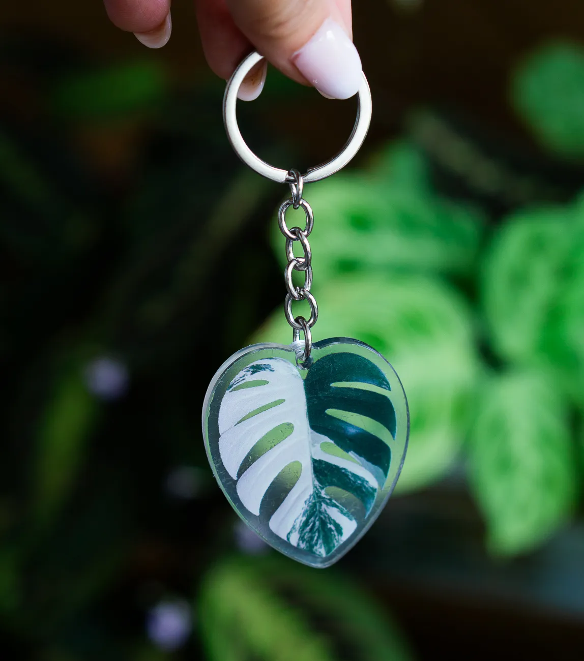Kľúčenka Monstera Albo variegata