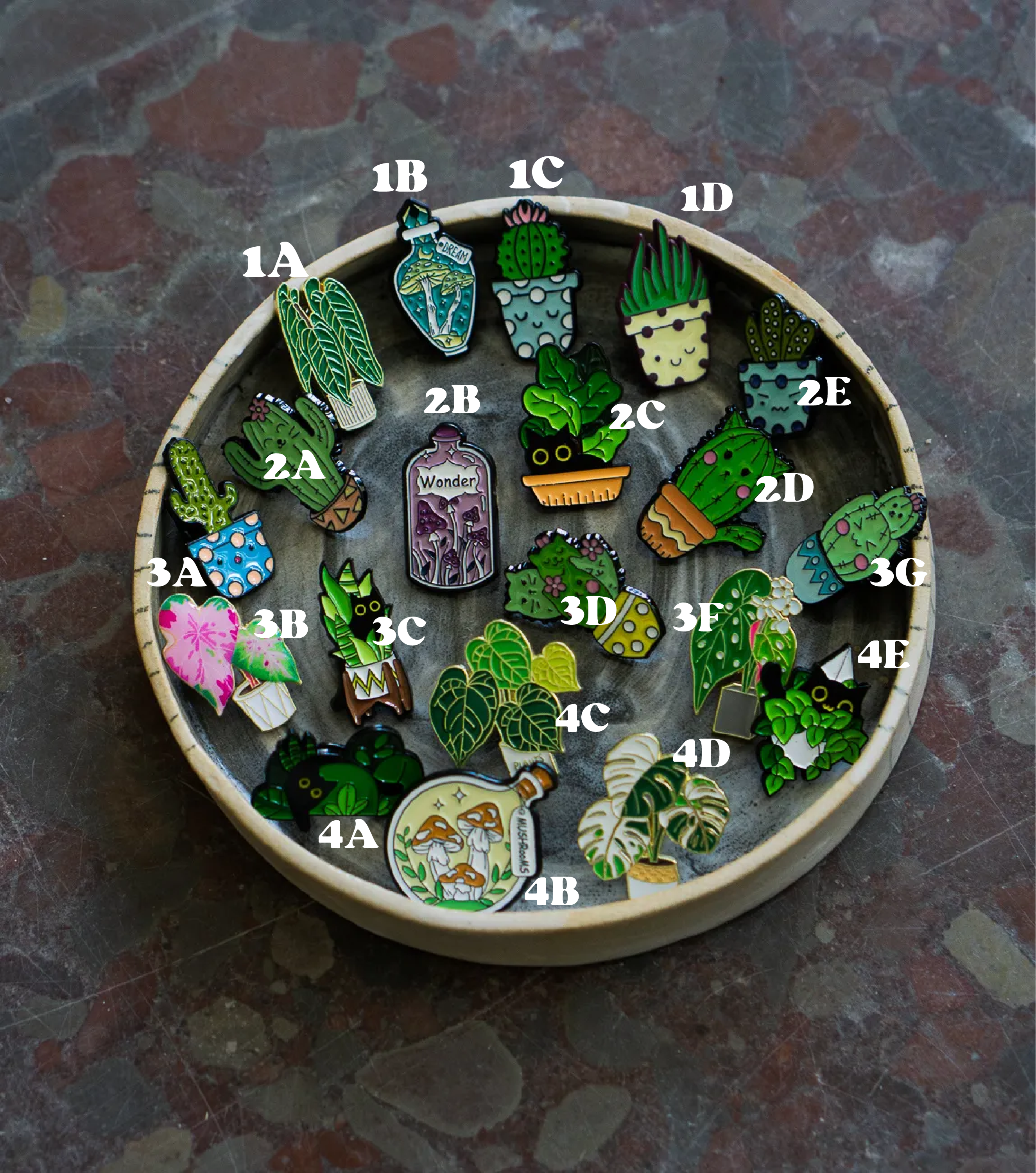 Plant odznak nad 120€