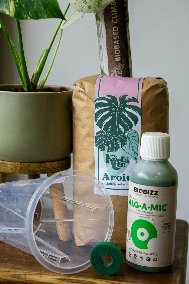 Set VARIEGATA - všetko pre zdravé panašované rastliny
