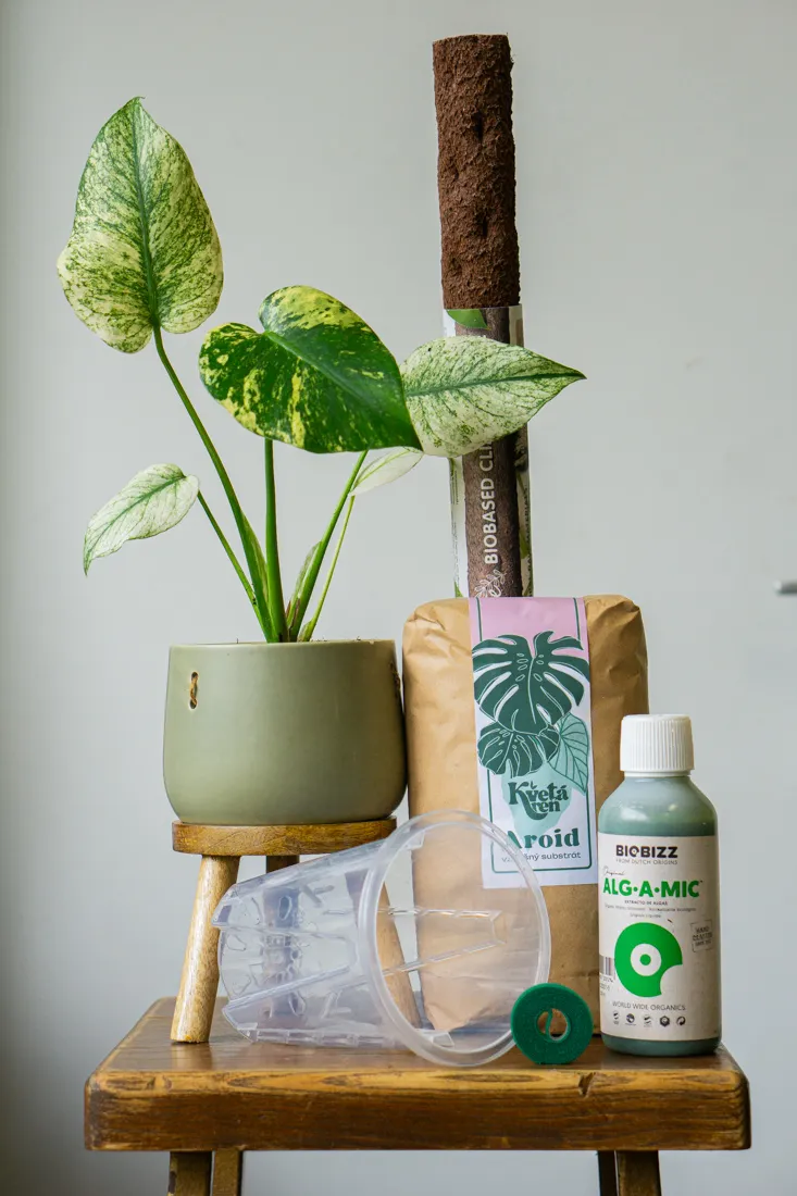 Set VARIEGATA - všetko pre zdravé panašované rastliny