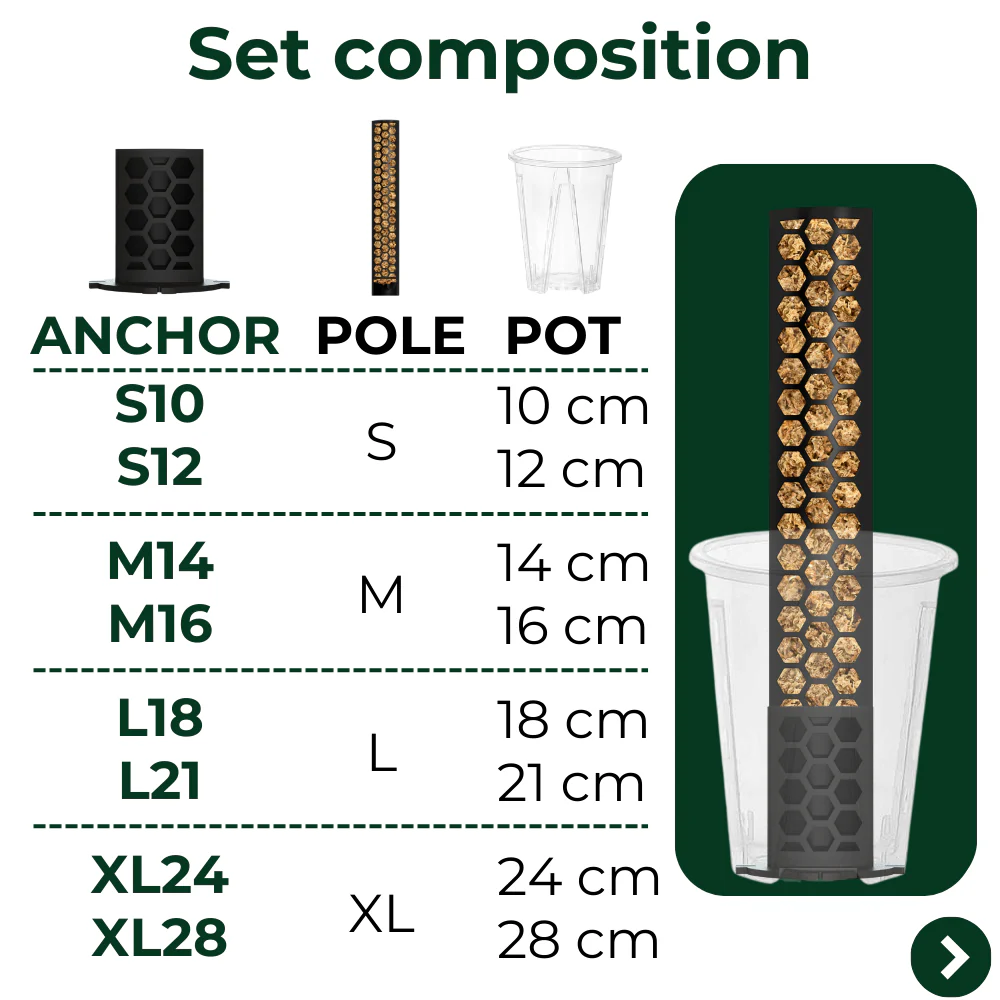Kotva pre kvetináč pre Aroidy Plantscraper