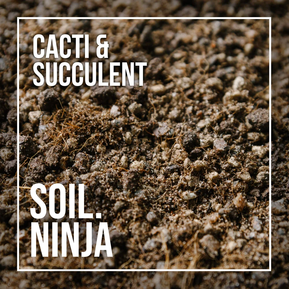 Substrát SOIL NINJA pre Kaktusy a sukulenty (2.5L)