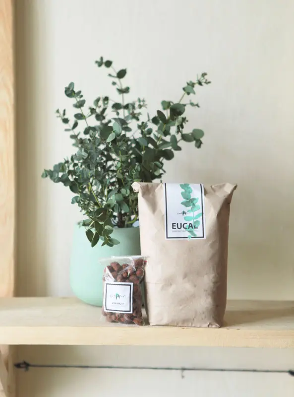 Set Eucalyptus