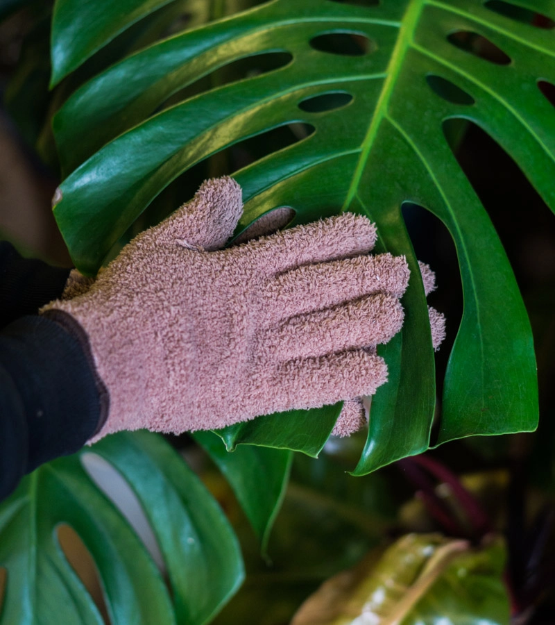 Rukavica na čistenie listov