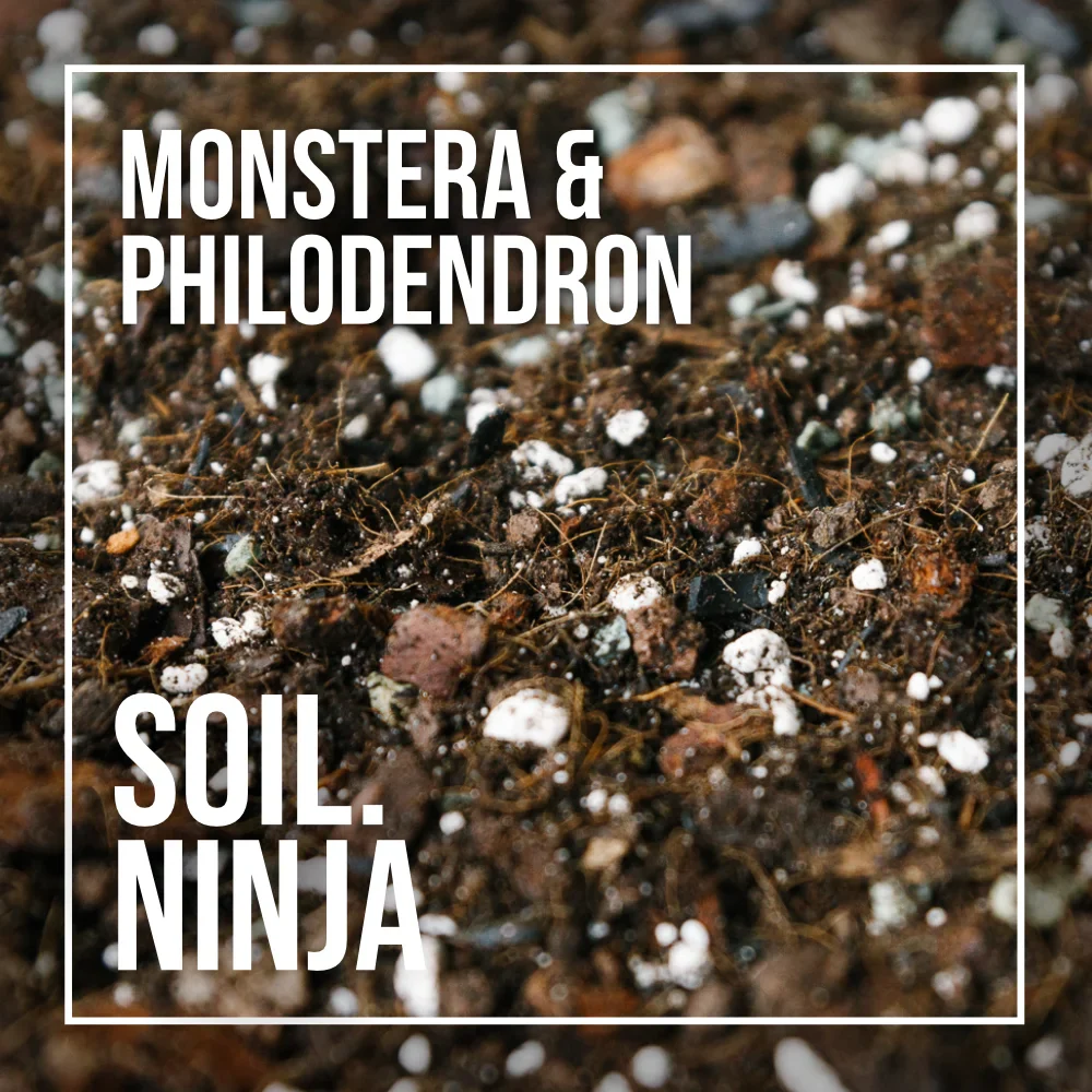 Substrát SOIL NINJA pre Monsteru a Philodendron (5L)
