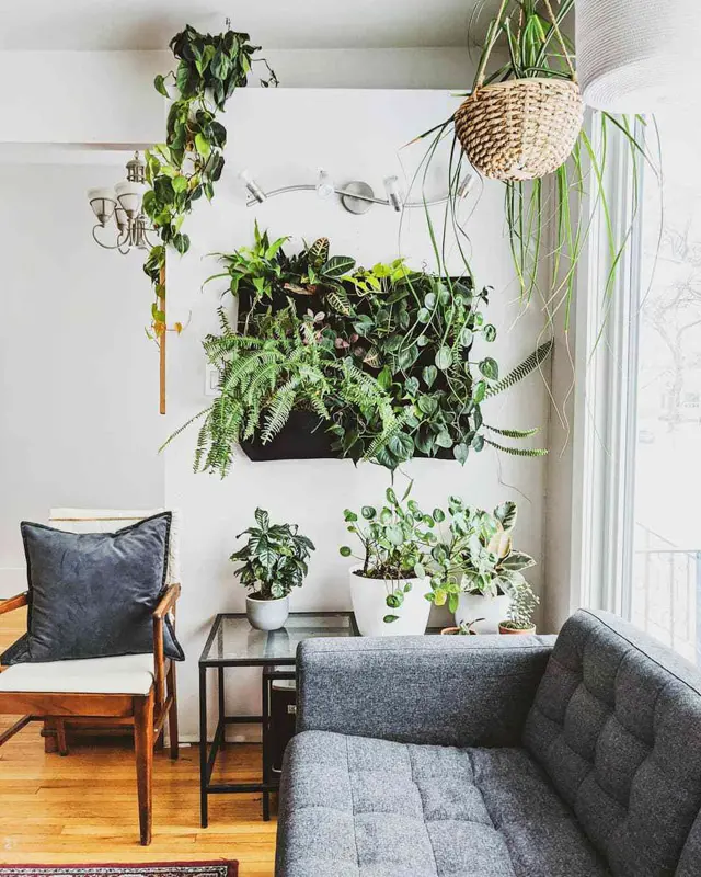 Plantscape - Zariadenie priestorov izbovými rastlinami