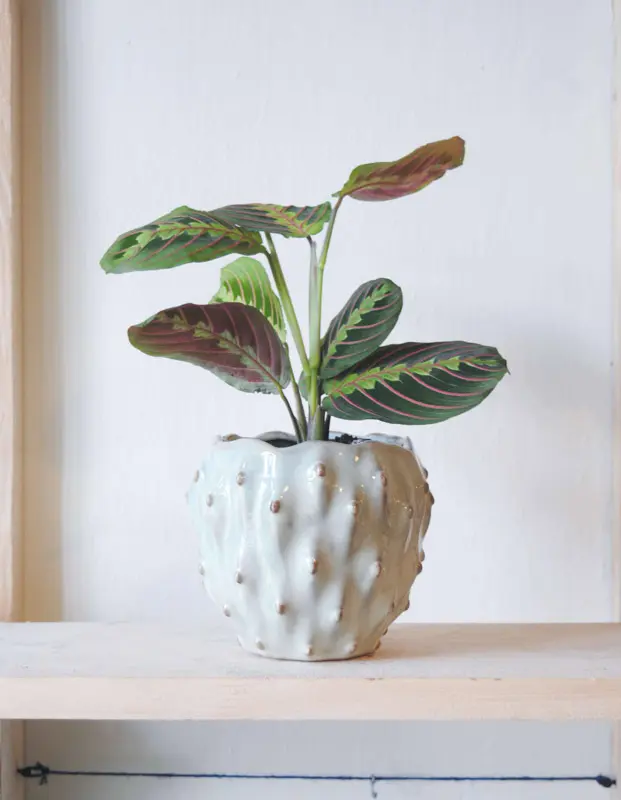 Keramický kvetináč Femine '17cm'