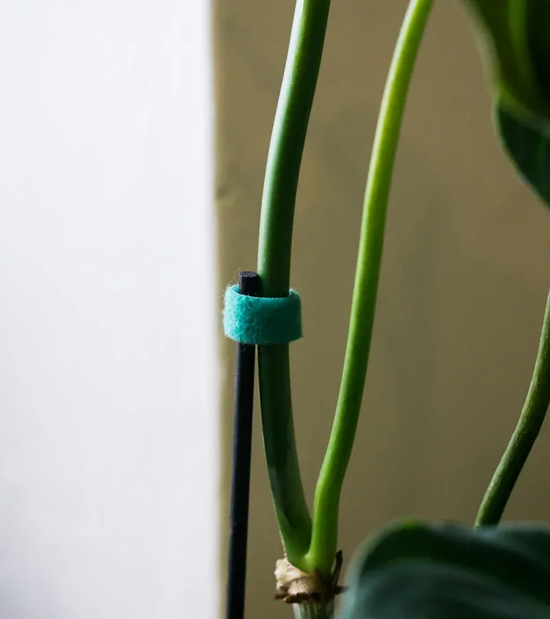 Reusable floristická páska so suchým zipsom
