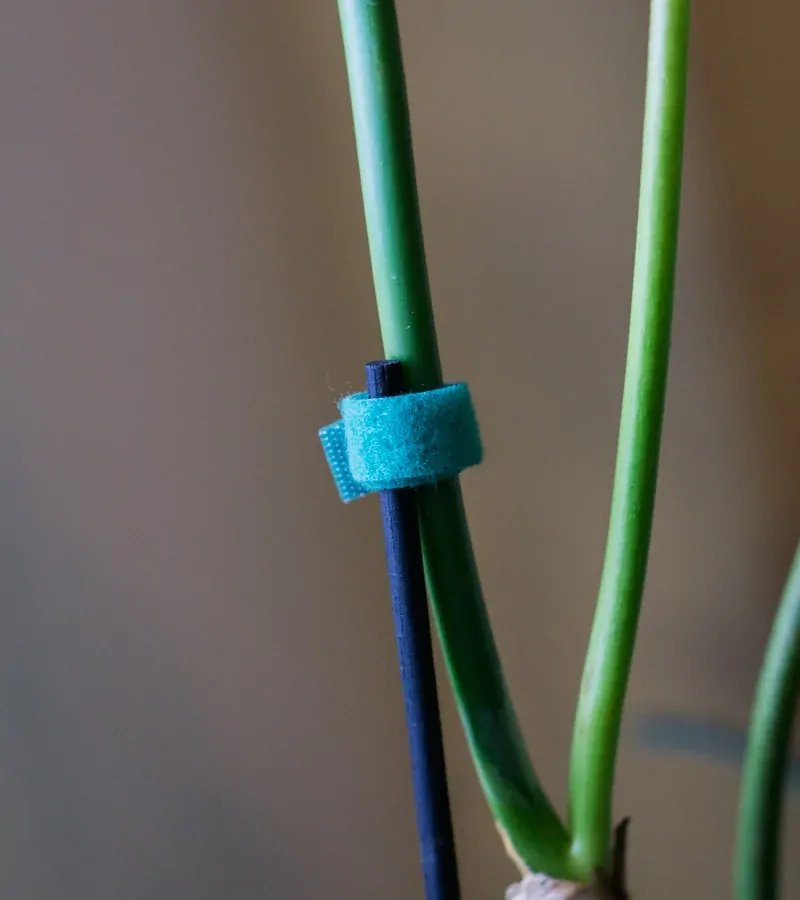 Reusable floristická páska so suchým zipsom