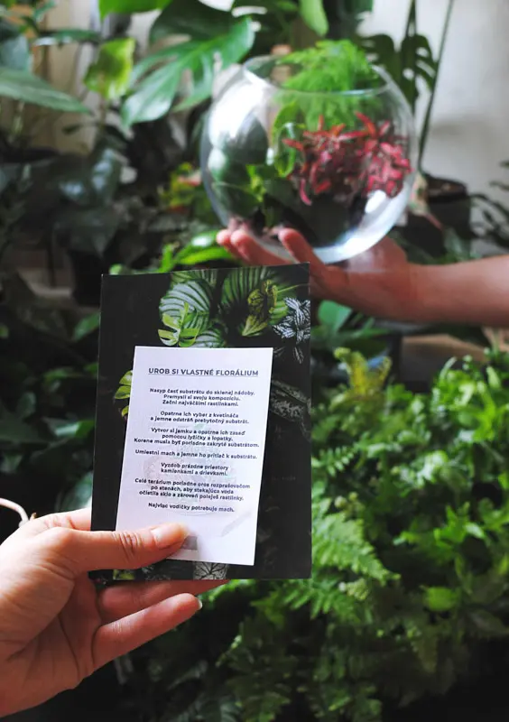 Set "Urob si vlastné rastlinné Florálium" DIY kit