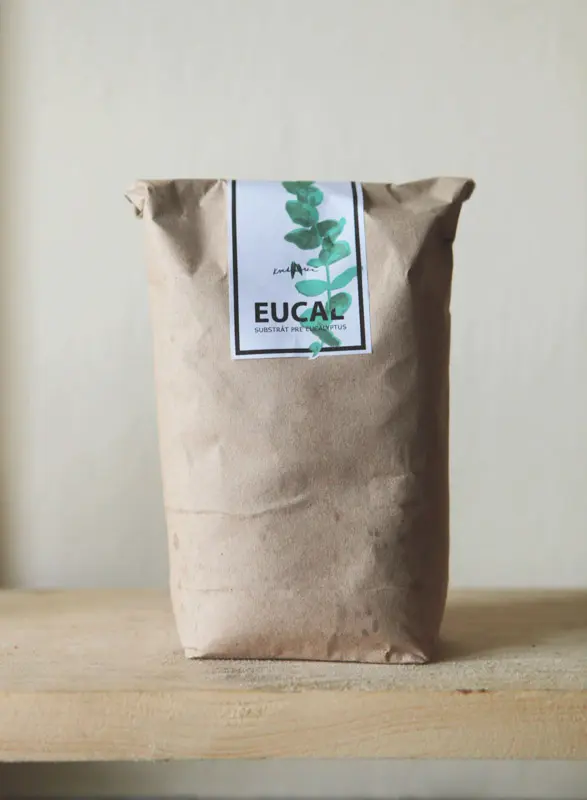 Set Eucalyptus